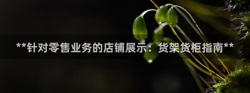 杏运体育官方网址登录