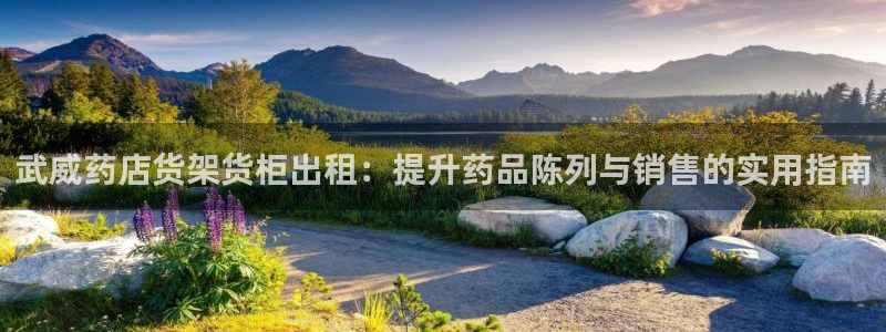 杏运平台代理