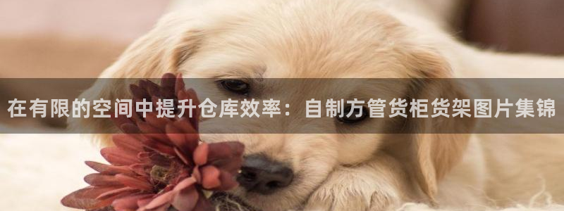 杏运体育网