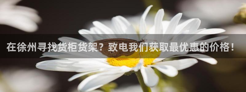 杏运体育官网