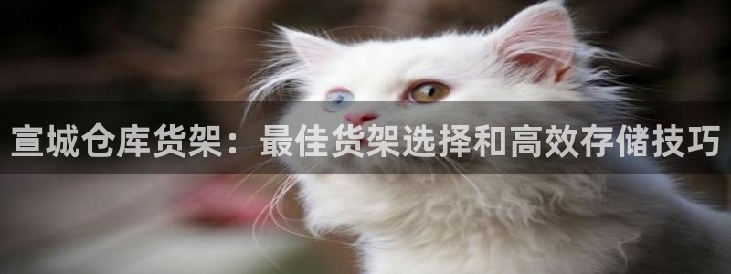 杏运注册平台