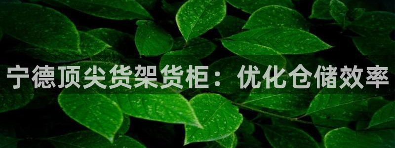 杏运体育网