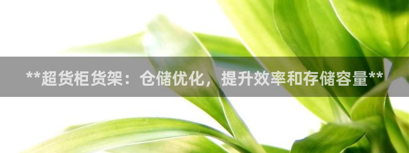 杏运登录