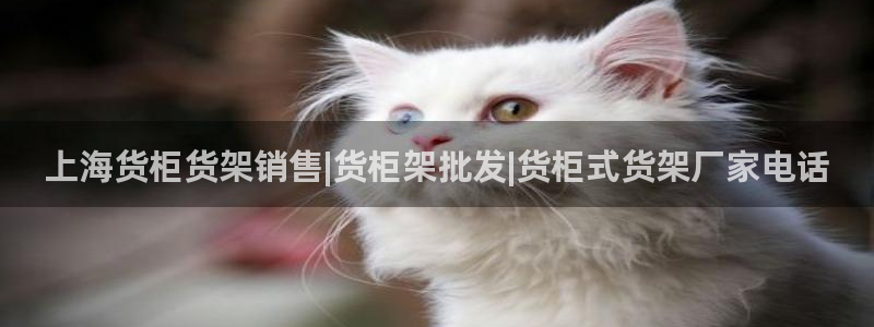 杏运代理