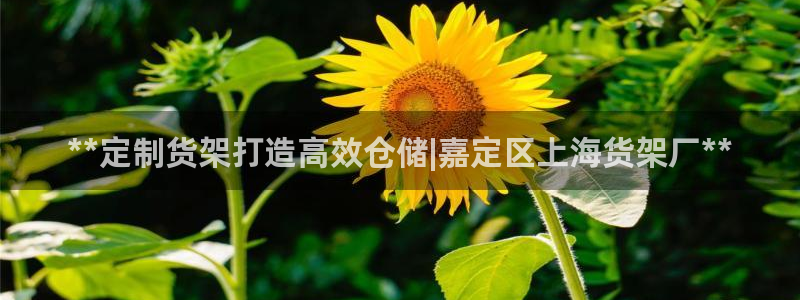 杏运娱乐平台注册地址