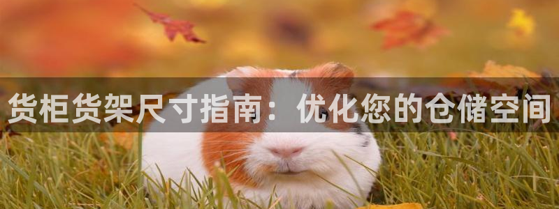 杏运汽车