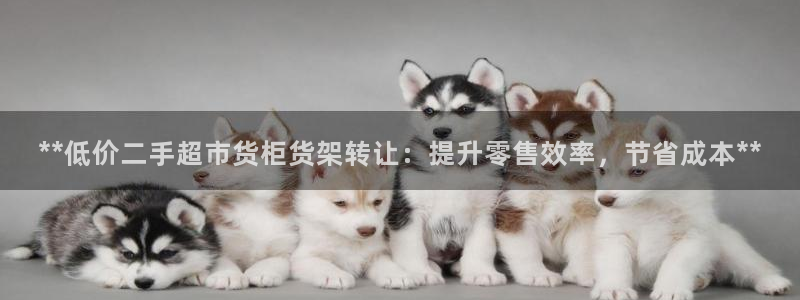 杏运体育官网