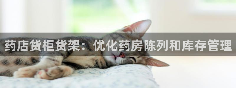 杏运登录