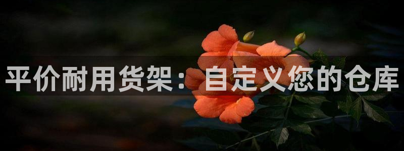 杏运体育平台正规吗安全吗