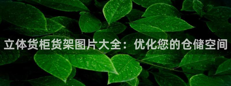 杏运代理