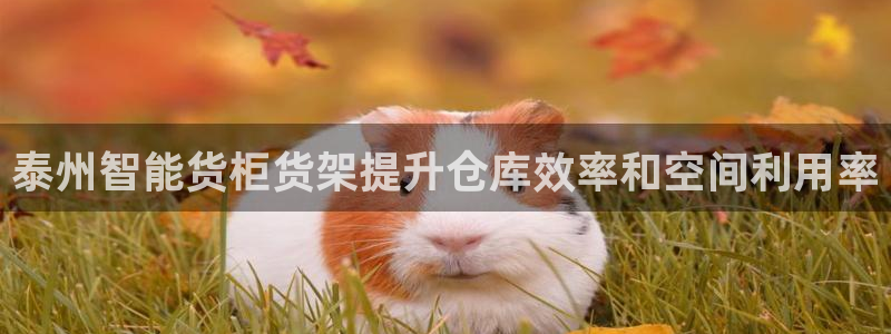 杏运平台官方网站