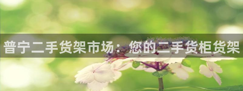 杏运平台官方网站