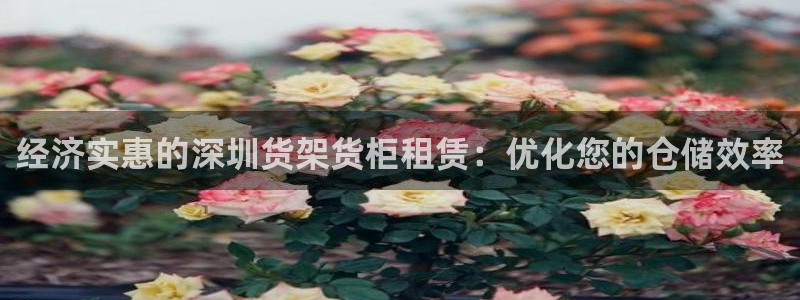 杏运体育官网