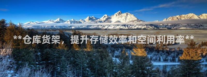 杏运登录