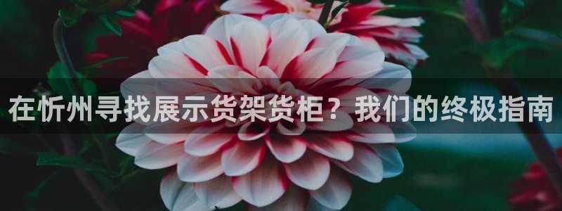杏运体育官网