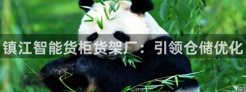 杏运新能源