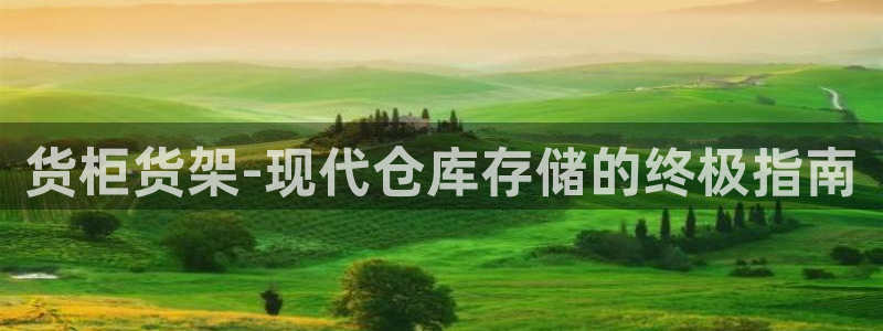 杏运汽车招商
