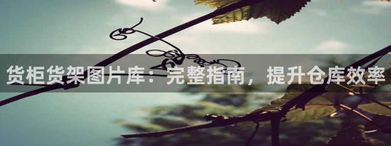 杏运代理