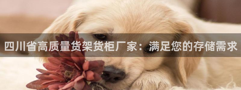 杏运汽车