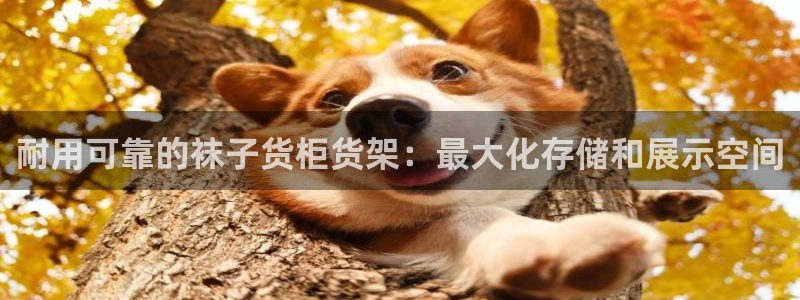 杏运娱乐平台注册地址
