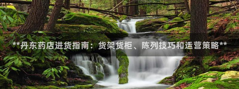 杏运体育怎么样