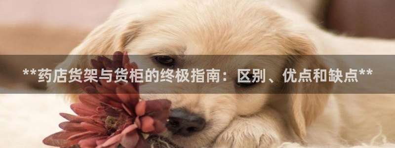 杏运体育注册