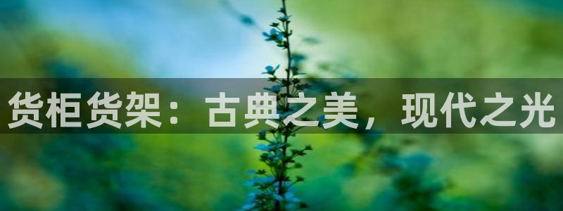 杏运相伴