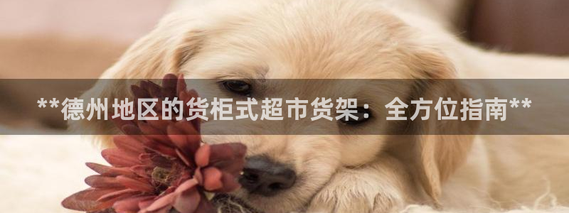 杏运平台注册登录
