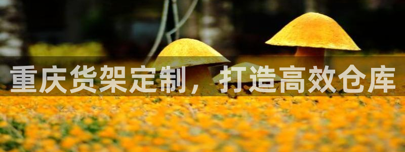 杏运平台官网