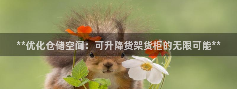 杏运体育app下载安装手机版