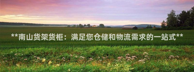 杏运汽车招商