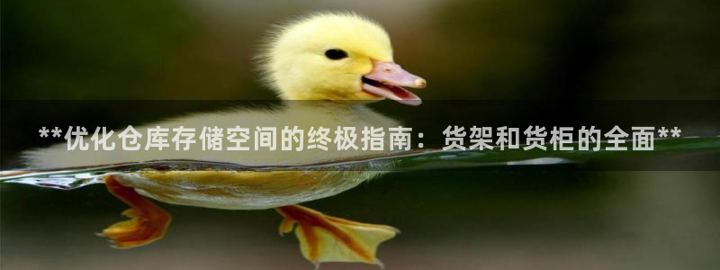 杏运相伴