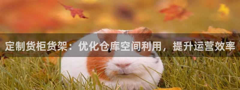 杏运体育平台正规吗安全吗