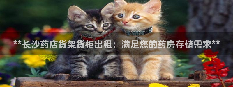 杏运平台官方网站