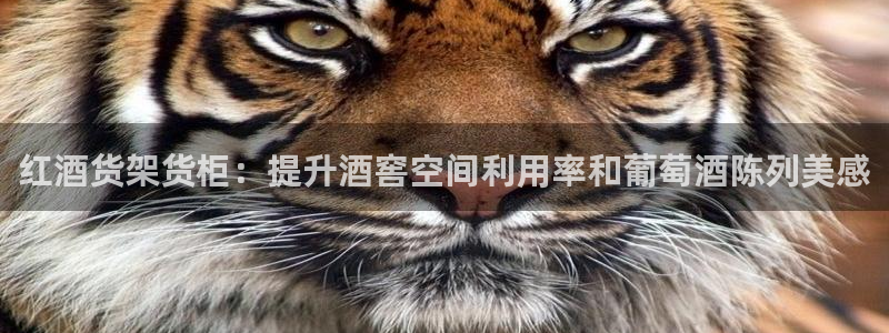 杏运娱乐平台注册地址