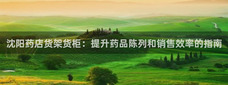 杏运汽车招商