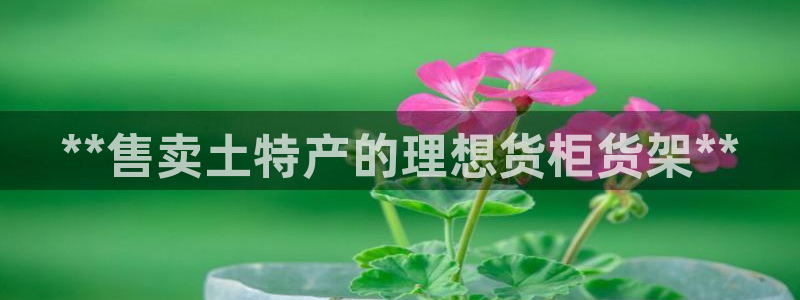 杏运体育登录