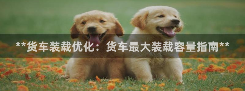 杏运体育登录