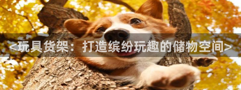 杏运娱乐平台注册地址在哪里