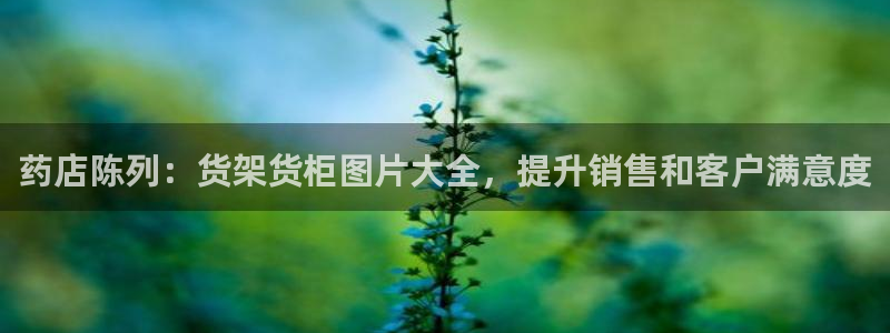 杏运平台登陆