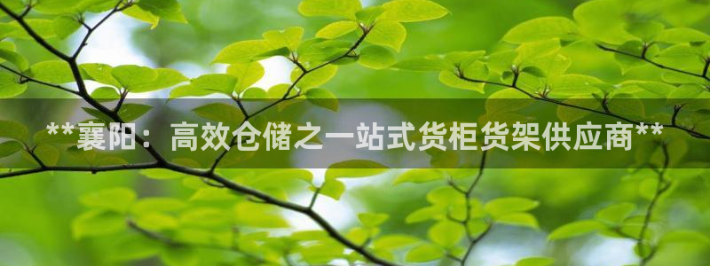 杏运平台招商