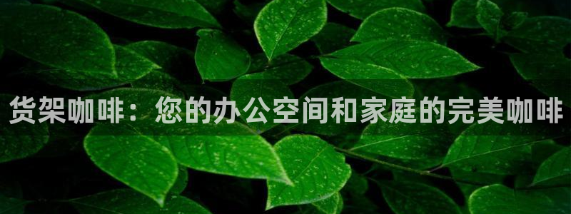 杏运汽车招商