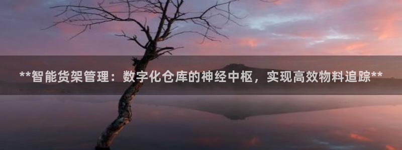 杏运新能源