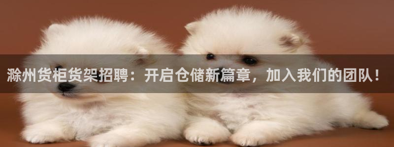 杏运汽车招商