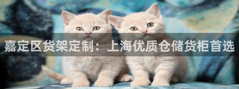 杏运体育官网
