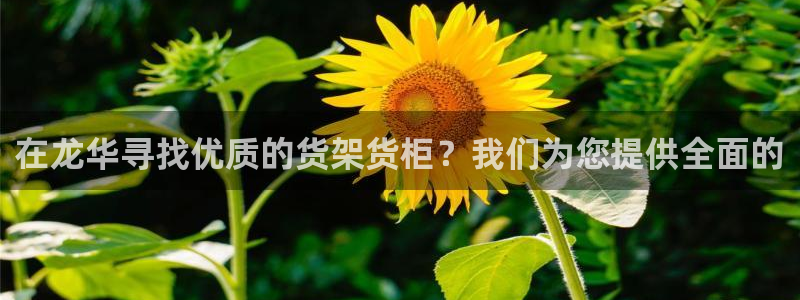 杏运娱乐平台注册地址在哪里