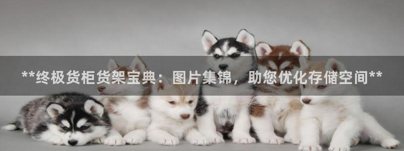 杏运体育注册