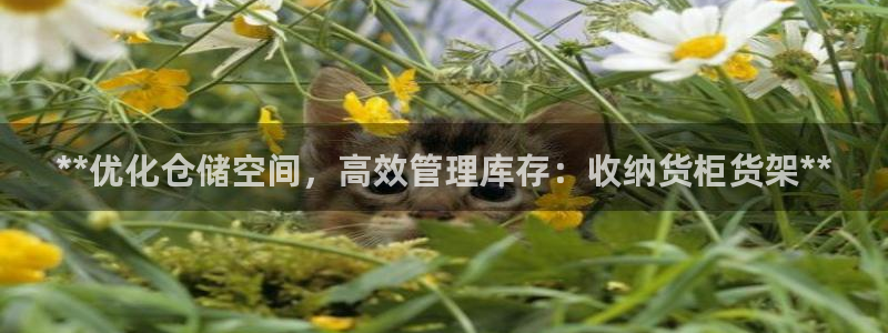 杏运注册登录地址