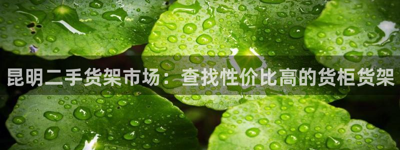杏运相伴