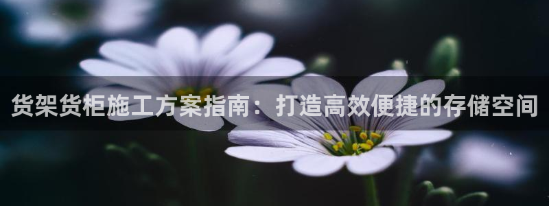 杏运代理
